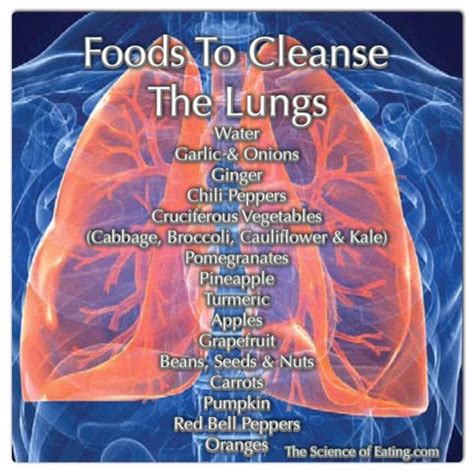 Detoxifying drinks that can help with your lung cleanse that said, stopping smoking after 40 years is better than continuing to smoke for 45 or 50 years. Foods To Cleanse The Lungs | Health & Alternative Medicine ...