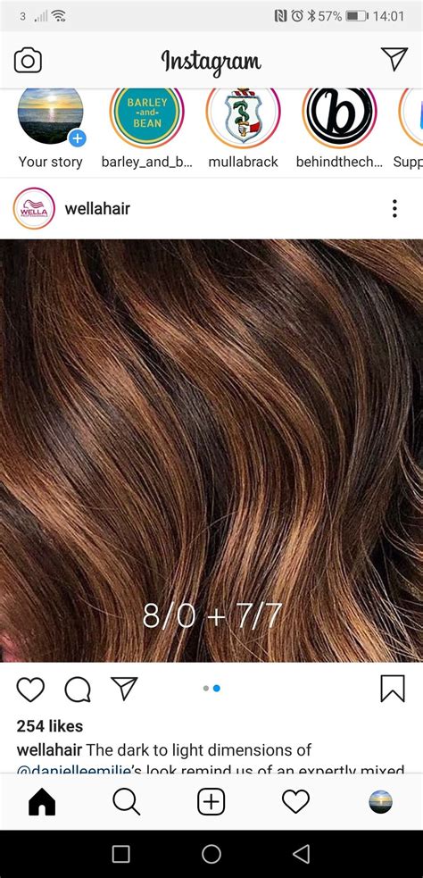Wella Hair Color Chart Brown Hair Color Chart Hair Color Formulas
