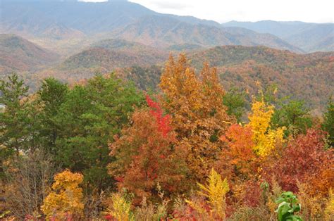 Great Smoky Mountains Fall Foliage Report 2016the Official