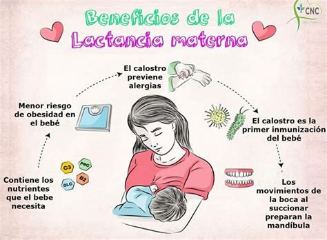 Les Presentamos Algunos De Los Beneficios De La Lactancia Materna