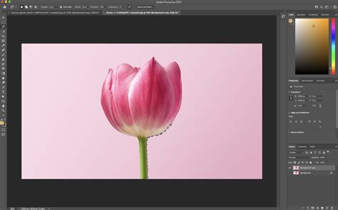 Remove A Background In Photoshop Quickly And Easily Web Host Police