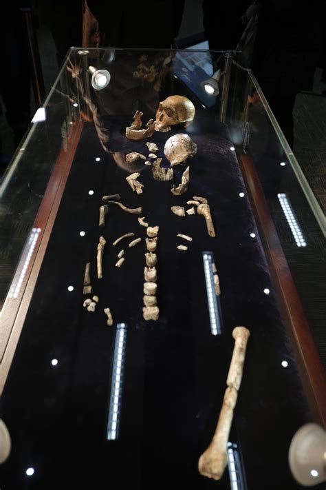 ‘evolutionary Cousins May Have Lived Alongside Early Humans The Boston Globe