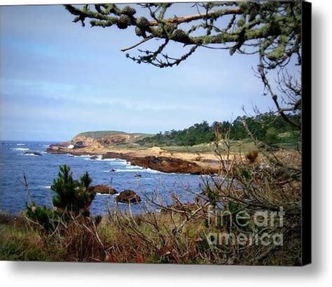 Carmel California State Natural Reserve Canvas Print Canvas Art By K