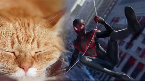 Spider Man Miles Morales Introduces New Spider Cat Companion