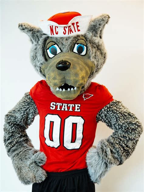 Nc State University Tuffy Wolf Pack Acc Mascot North Carolina