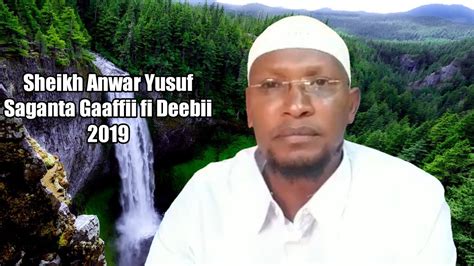 Sheikh Anwar Yusuf Saganta Gaaffii Fi Deebii 2019 Youtube