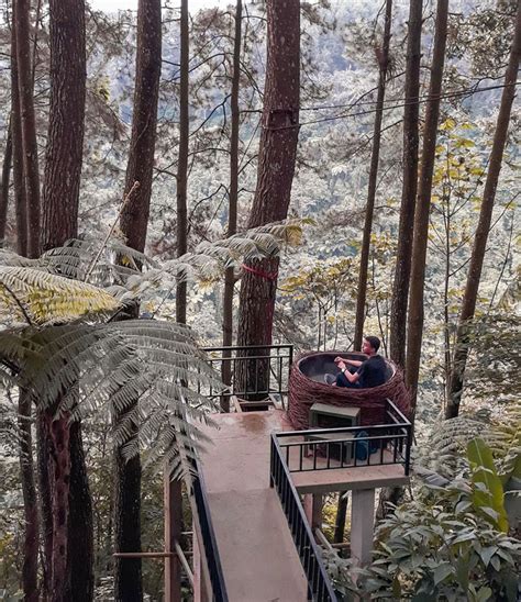 Tempat Ngopi Hits Di Bogor Di Tengah Hutan Pinus Kopi Daong