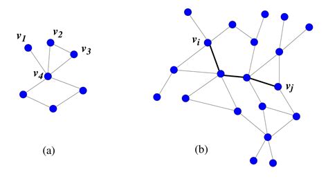Complex Networks And Collective Behavior In Nature