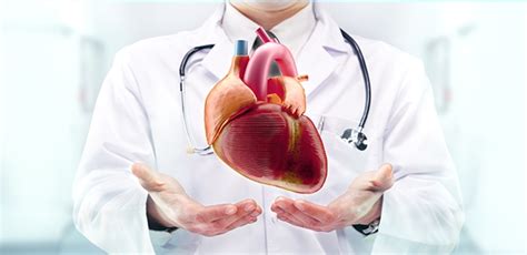 Cardiologist Heart Disease Specialist হৃদরোগ বিশেষজ্ঞ