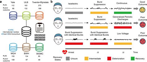 Predicting Neurological Outcome From Electroencephalogram Dynamics In