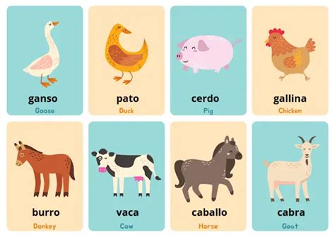 Animals 2 Flashcards In Spanish Spanish To Go