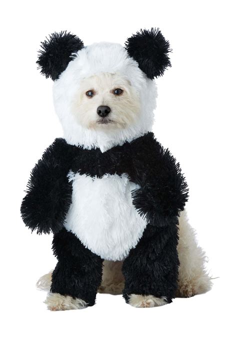 Panda Puppy Ubicaciondepersonascdmxgobmx