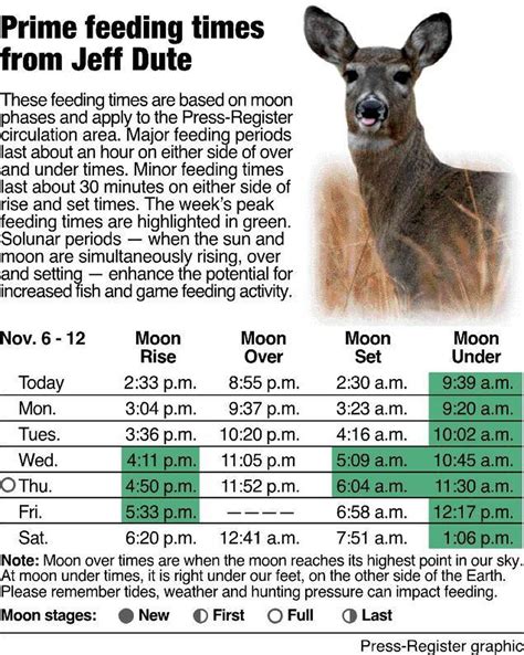 Feeding Times Basics To Get The Most Out Of The Moons Influence On The
