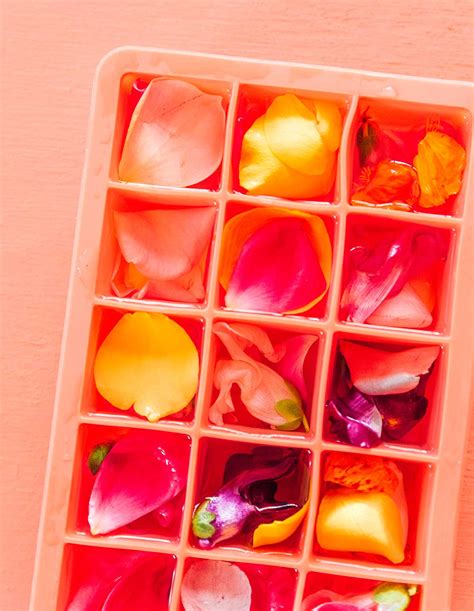 How To Make Edible Flower Ice Cubes Live Eat Learn