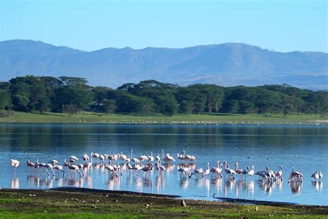 Lake Naivasha Blue Ocean Safaris