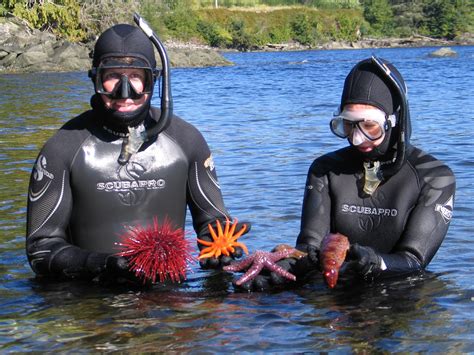 Mountain Point Snorkeling Adventure Immerse Yourself In Southeast