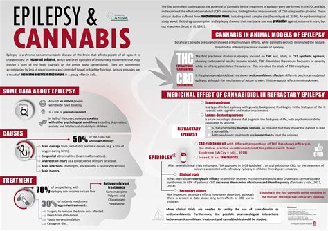 Epilepsy And Cannabis Fundación Canna Scientific Studies And Cannabis