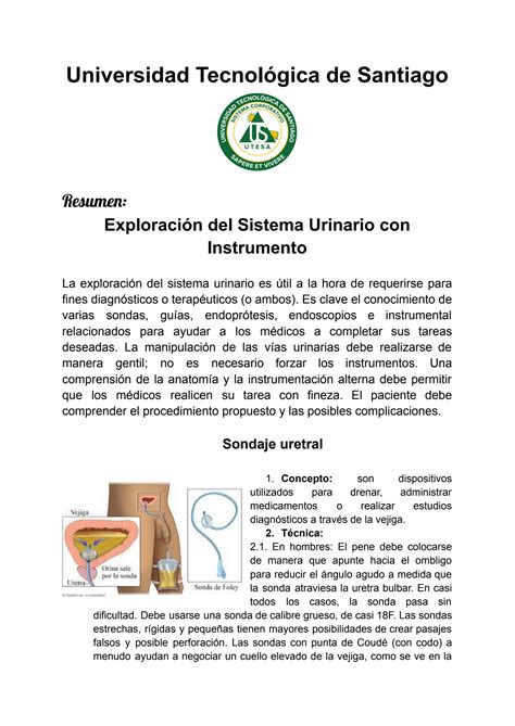 Solution Exploracion Del Sistema Urinario Con Instrumento Studypool