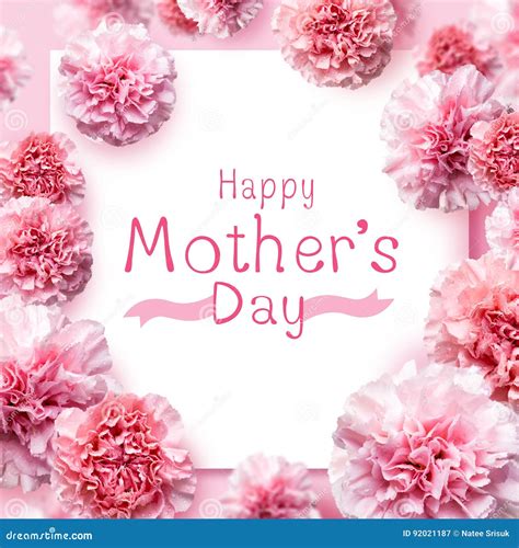 Happy Mother S Day Message On Pink Carnation Flowers Stock Image
