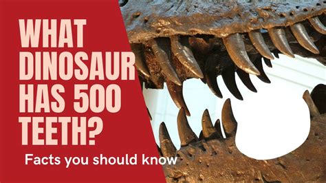 What Dinosaur Has 500 Teeth Nigersaurus Facts You Should Know Youtube