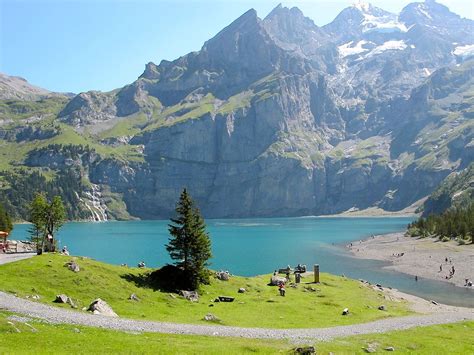 Tedesco (65,6%),francese (22,8%),italiano (8,4%),romancio (0,6%). Svizzera - Wikivoyage, guida turistica di viaggio