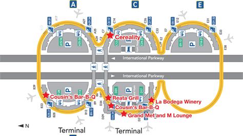 Dfw Airport Map Guide Map