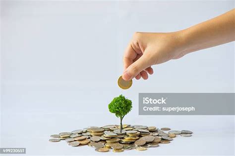 Pertumbuhan Koin Pohon Tangan Memegang Koin Foto Stok Unduh Gambar