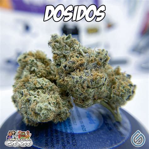 The Gas Pass Do Si Dos By Grow Sciences Hippy Life Entertainment