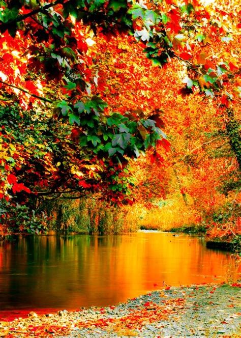 99 Amazing Pictures Of Autumn Idyll Part 1
