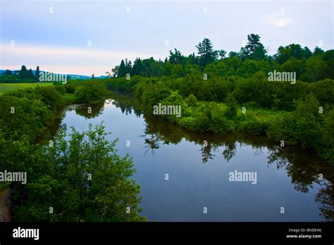 A Calm Pond Of Water Stock Photo Alamy