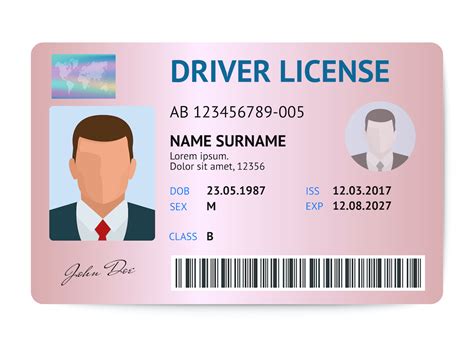 Cómo tramitar tu licencia de conducir de USA Trámites USA