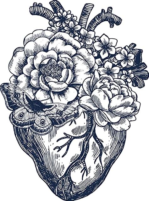 Greyscale drawing of da vinci anatomical heart w/ nautical compass for tattoo | illustration or graphics contest. Anatomical Heart Cartoon Drawing