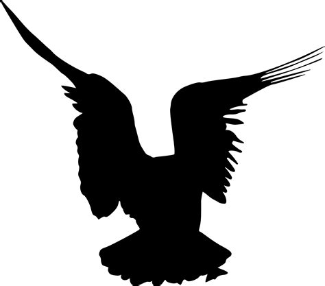 15 Bird Silhouette (PNG Transparent) | OnlyGFX.com