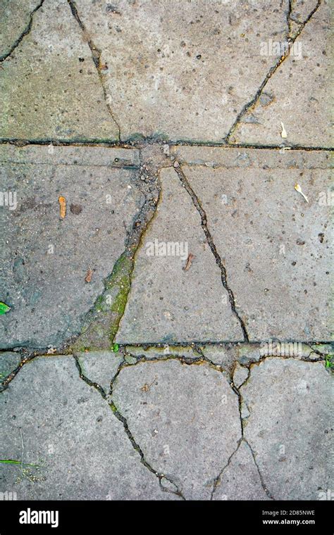 Top View Abstract Cracked Concrete Brick Pathway Texture Broken