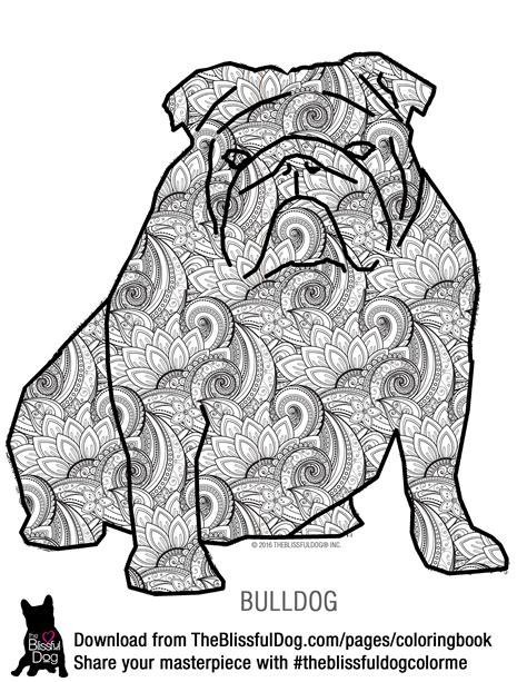 You can download free printable bulldog coloring pages at coloringonly.com. Bulldog - Free Colouring Pages