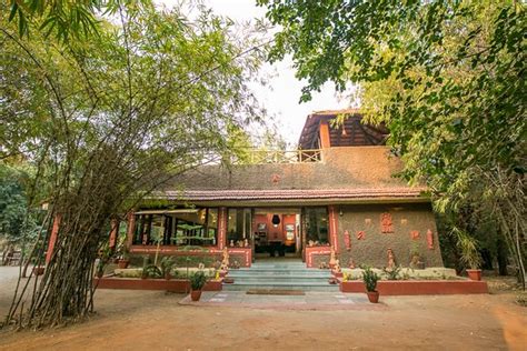 Nature S Tranquil Haven Review Of Bandhavgarh Jungle Lodge