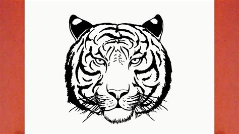 Como Dibujar Un Tigre Animales
