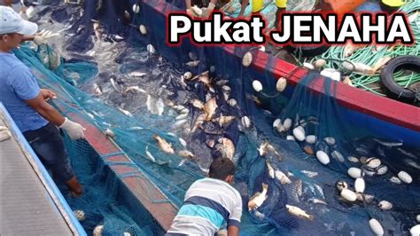 Penangkapan Ikan Jenaha Menggunakan Jaring Pukat Cincin Laut Aceh