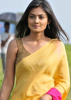 Nikitha Narayan Hot In Yellow Saree Photos Tamil Actress Nikitha
