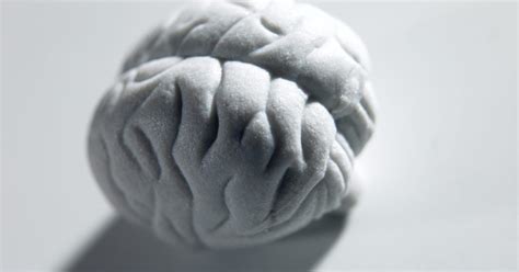 Como Fazer Um Cerebro Para Feira De Ciencias