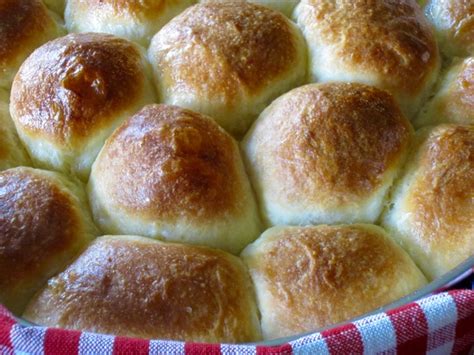 no knead yeast rolls my favourite pastime