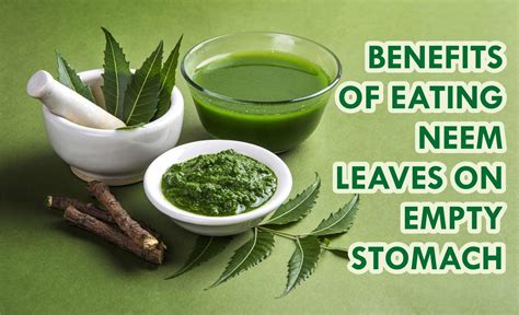 8 Surprising Benefits Of Eating Neem Leaves On Empty Stomach