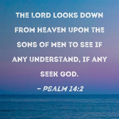 Psalm 142 The Lord Looks Down From Heaven Upon The Sons Of Men To See
