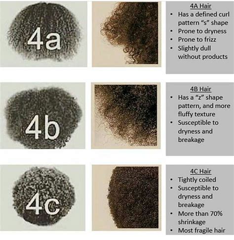 10 Hair Texture Chart 4c Fashion Style