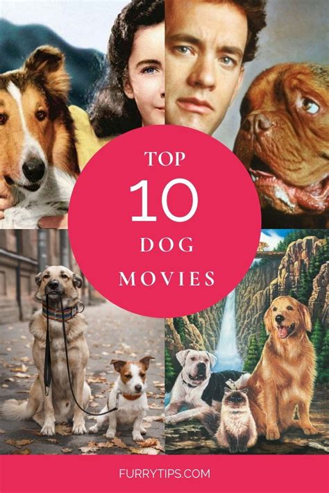 Top 10 Dog Movies Dog Movies Dog Films Best Dogs For Families