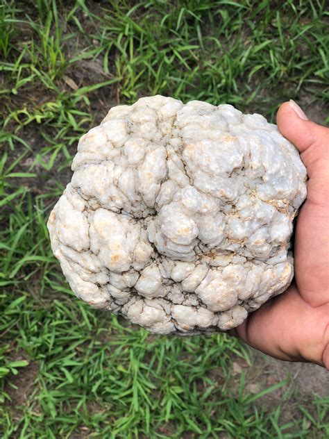 This Big Rock Deposit That Looks Like A Brain Mildlyinteresting