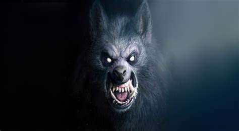 Fantasy Art Creature Artwork Werewolf Wolf Hd Wallpaper