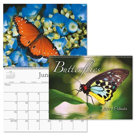 2019 Butterflies Wall Calendar Current Catalog Butterfly Wall Wall