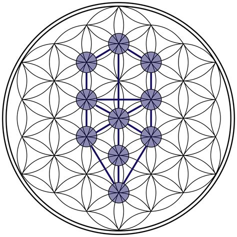 Flower Of Life Meaning And Symbolism What It Is And What It Can Do For Yo