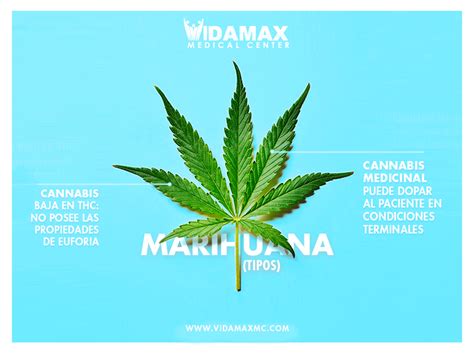 Marihuana Medicinal En Miami Vidamax Medical Center